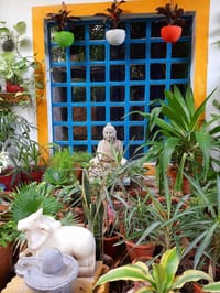 Courtyard corner with potted plants, statues and a blue lattice window