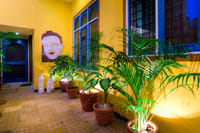 Plant-filled courtyard with yellow walls and Buddha mural