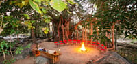 Campfire circle of red chairs and a drinks table beneath a giant banyan tree at Jamtara Wilderness Camp, Pench