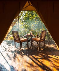 Luxury Tent — coffee for two on the private timber deck seen through the tent opening at Jamtara Wilderness Camp, Pench