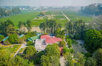 Citrus County villa exterior amid the orchard grounds