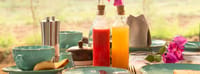 Outdoor breakfast table with fresh juices, teacups and bougainvillea at Mela Kothi – Chambal Safari Lodge, Chambal