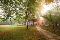 Paved path through wooded grounds leading to the arched lodge building at dawn at Mela Kothi – Chambal Safari Lodge, Chambal