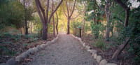 Pebble-edged gravel path winding through trees on the grounds of Jim's Jungle Retreat, Corbett
