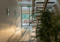 Sunlit corridor with floating timber staircase, palms and glass doors to the verandah at Amrit Bhawan, Haridwar