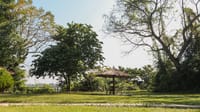 Lawn with a thatched umbrella and garden seating at Tiger Tops Tharu Lodge, Chitwan