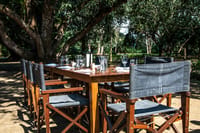 Long outdoor dining table set with glasses and napkins beneath a large tree at Tiger Tops Tharu Lodge, Chitwan