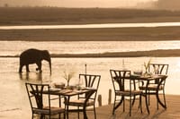 Dining in the wild, outdoor dining set-up