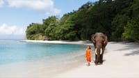 Guest walking beside an elephant on a white-sand beach fringed by forest near Barefoot at Havelock, Havelock
