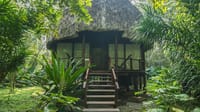 Nicobari Villa on stilts with deep thatched roof and wooden steps surrounded by jungle at Barefoot at Havelock, Havelock