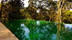 Wayanad Wild, Wayanad, photo 1