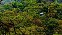Wayanad Wild, Wayanad, photo 2