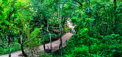 Wayanad Wild, Wayanad, photo 4