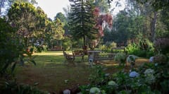 Marli Hill, Ooty, photo 3