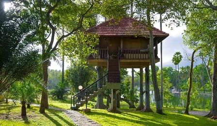 Tree House