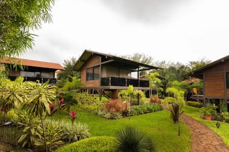 Tree House Garden View