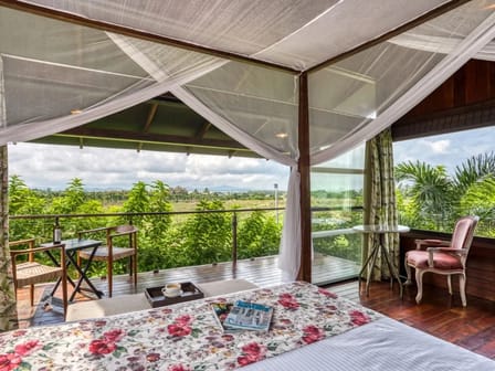 Tree House Vineyard View