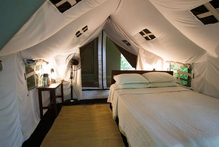 Safari Tents