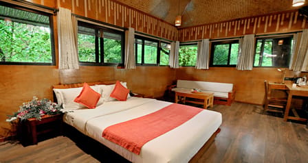 Family Tree House