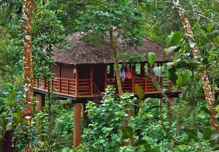 Tree House