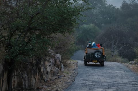 Ranthambore Tiger Safari — Shared Jeep