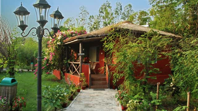 Executive Cottage, red-walled thatched cottage with bougainvillea and a lamp-lit garden path at Sundarban Tiger Camp, Sundarbans
