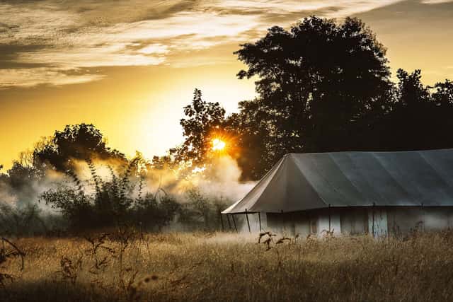 Safari tent in tall grass with mist and sunrise breaking through the trees at Jamtara Wilderness Camp, Pench