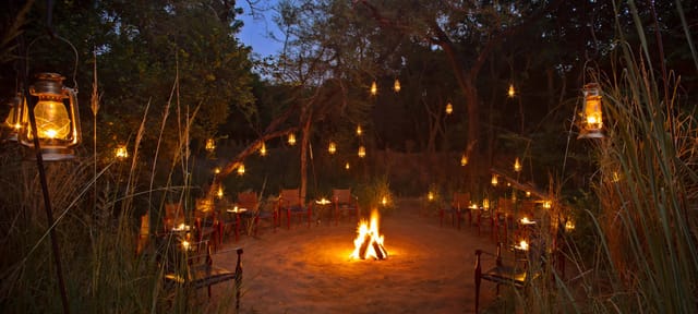 Under Canvas in Tiger Country