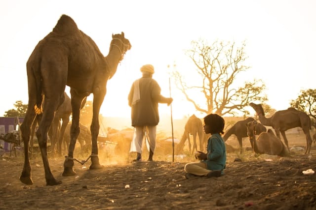 Rajasthan Grand Journey