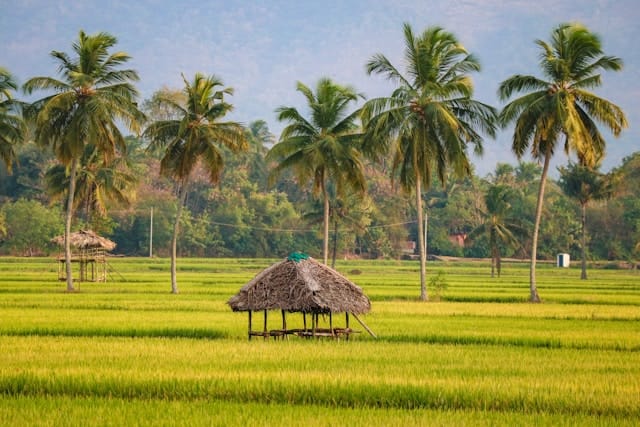Kerala Odyssey