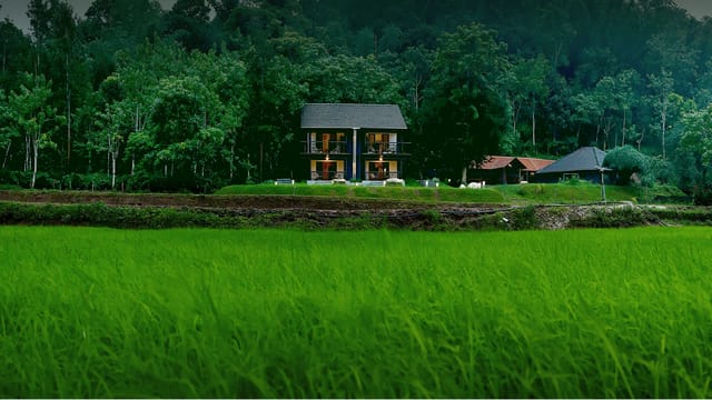 Vayal Veedu, Wayanad
