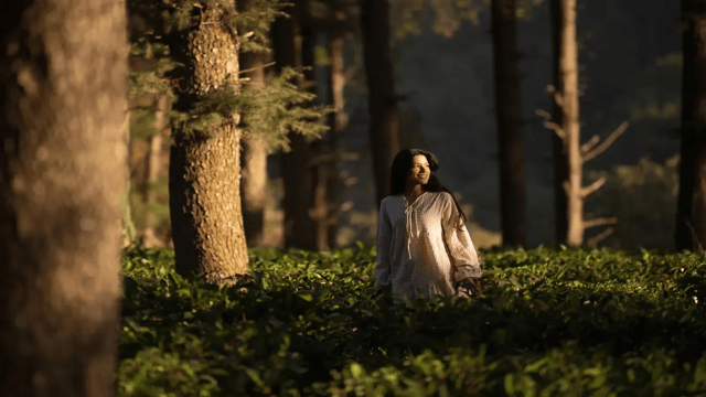 Walk out of the door into the Kumaon hills, five thousand feet up.