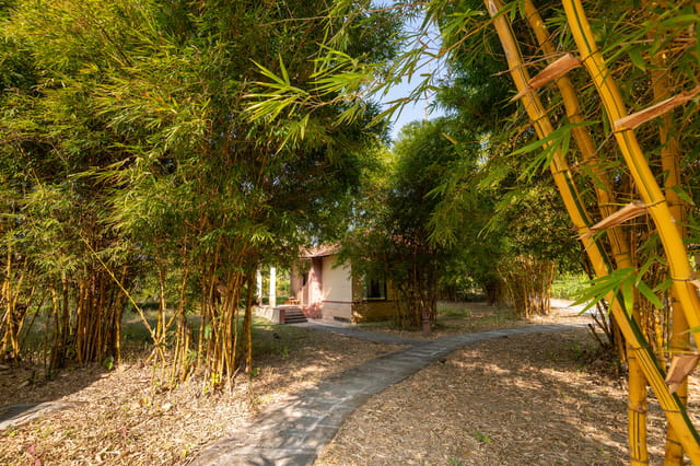 Soulacia Hotel & Resort