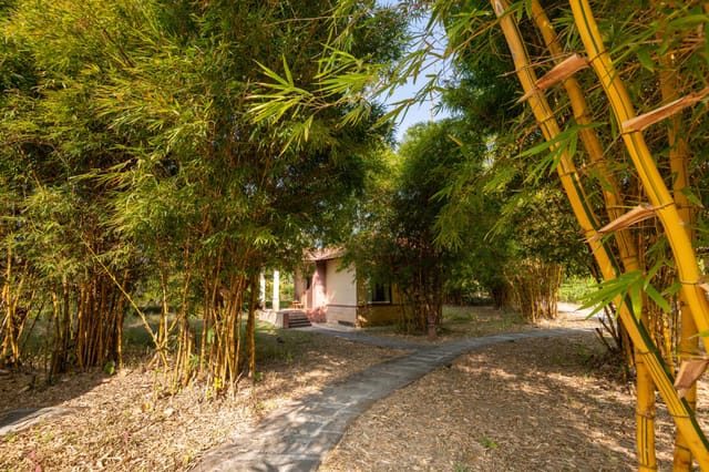Independent Cottage