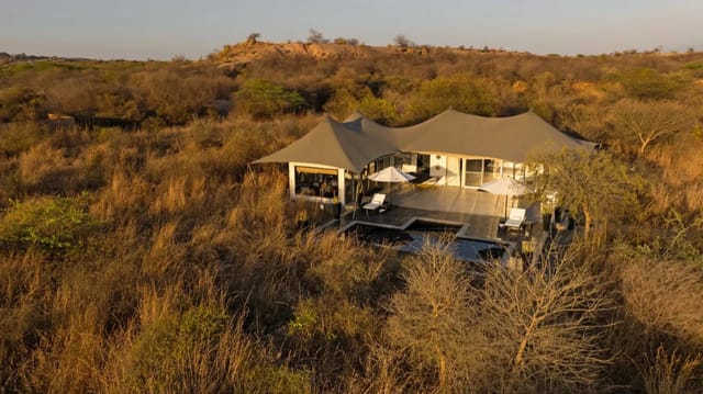 Royal Suite (Panthera)