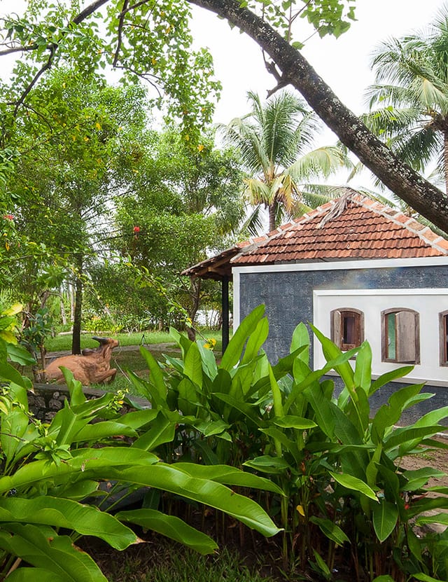 Alleppey, Kerala, India