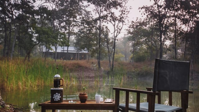 Morning coffee tray set beside the waterhole with the lodge among the trees behind at Reni Pani Jungle Lodge, Satpura