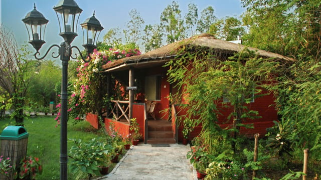 Executive Cottage — red-walled thatched cottage with bougainvillea and a lamp-lit garden path at Sundarban Tiger Camp, Sundarbans