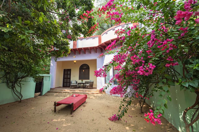 Cottage exterior with a private sand courtyard, charpoy daybed and flowering bougainvillea at Mela Kothi – Chambal Safari Lodge, Chambal