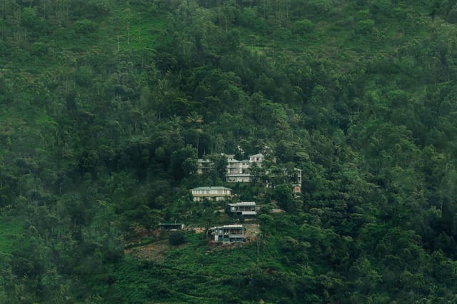 Resort buildings nestled on a densely forested hillside at Spice Tree Munnar, Munnar