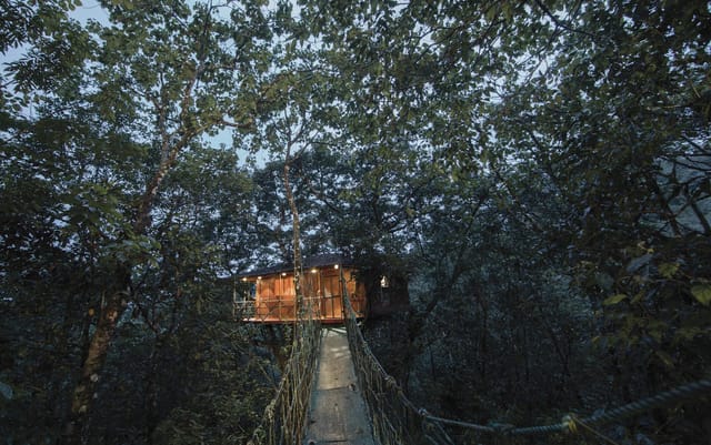 Tree House lit at dusk high in the rainforest canopy, reached by a rope suspension bridge, Vythiri Resort, Vythiri