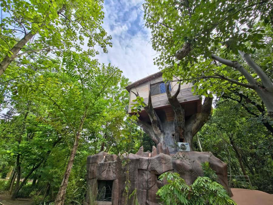 Treehouse, Tathastu Pench