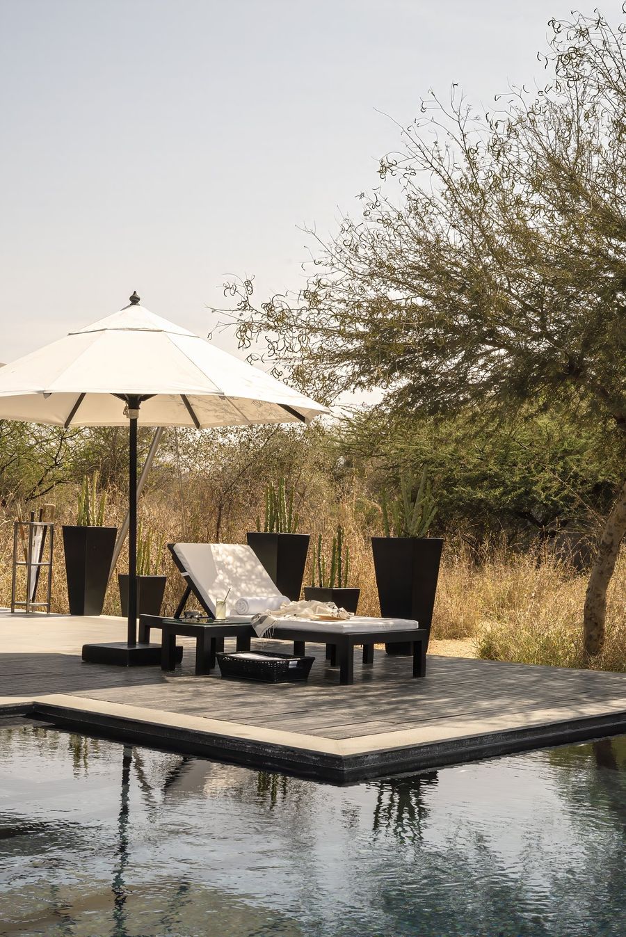 Royal Suite (Panthera), SUJÁN JAWAI