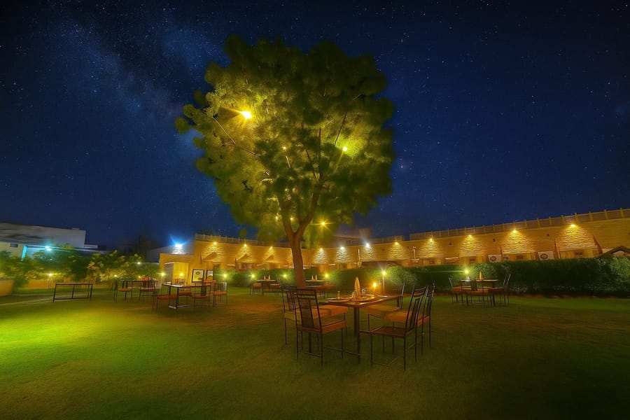 Lawns and trees lit up at night