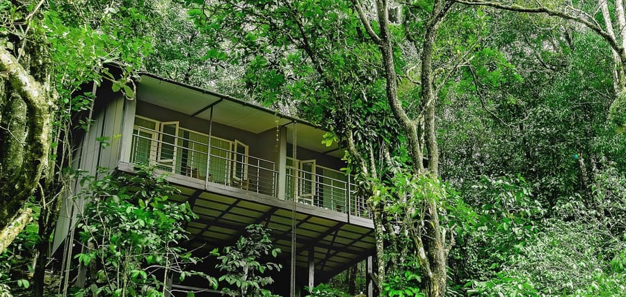 Wayanad Wild, Wayanad