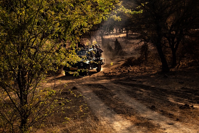 Safari gypsy on a dusty trail through dry deciduous forest in Ranthambore during the hot season