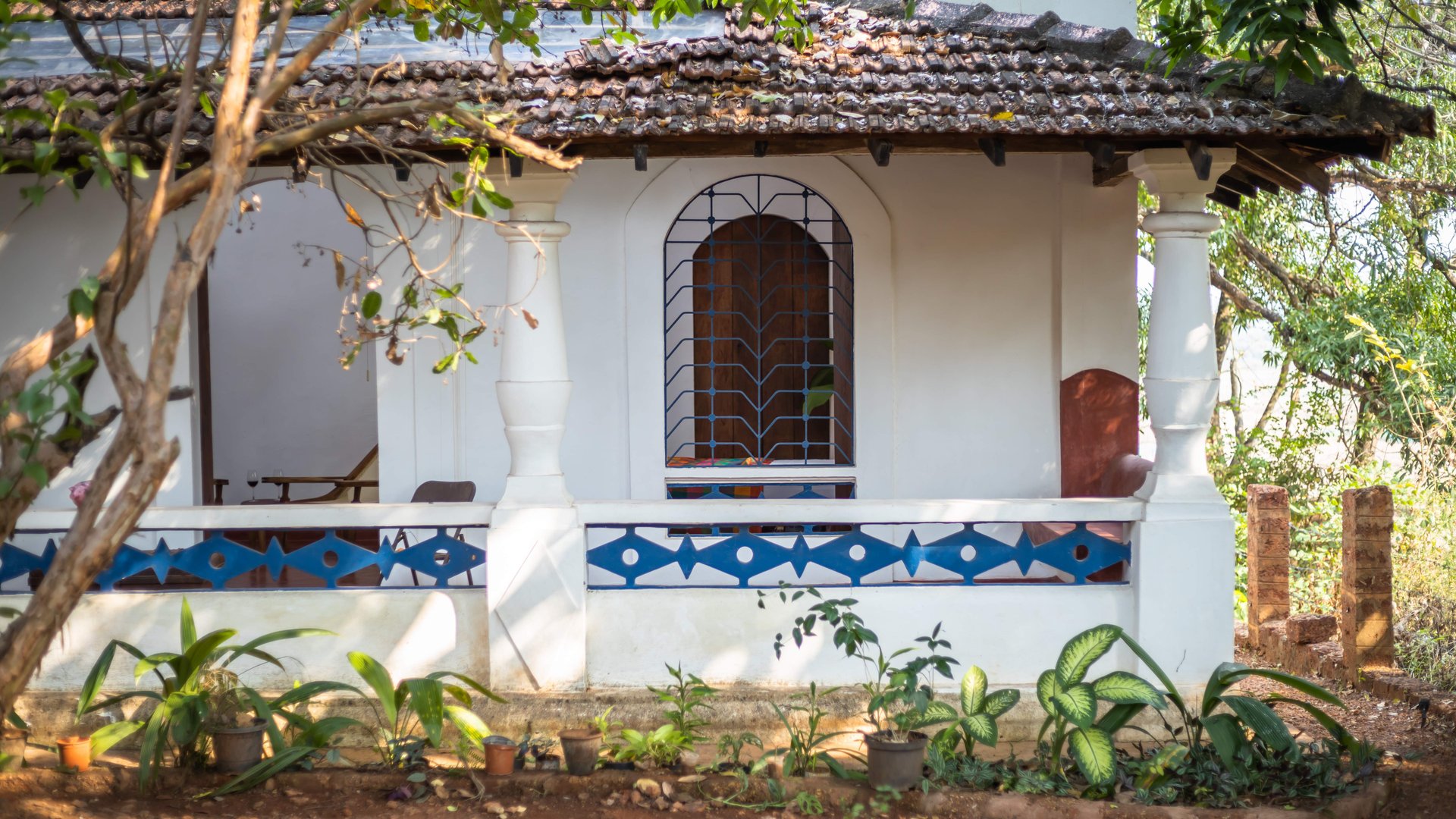 Seclude Falling Cashews