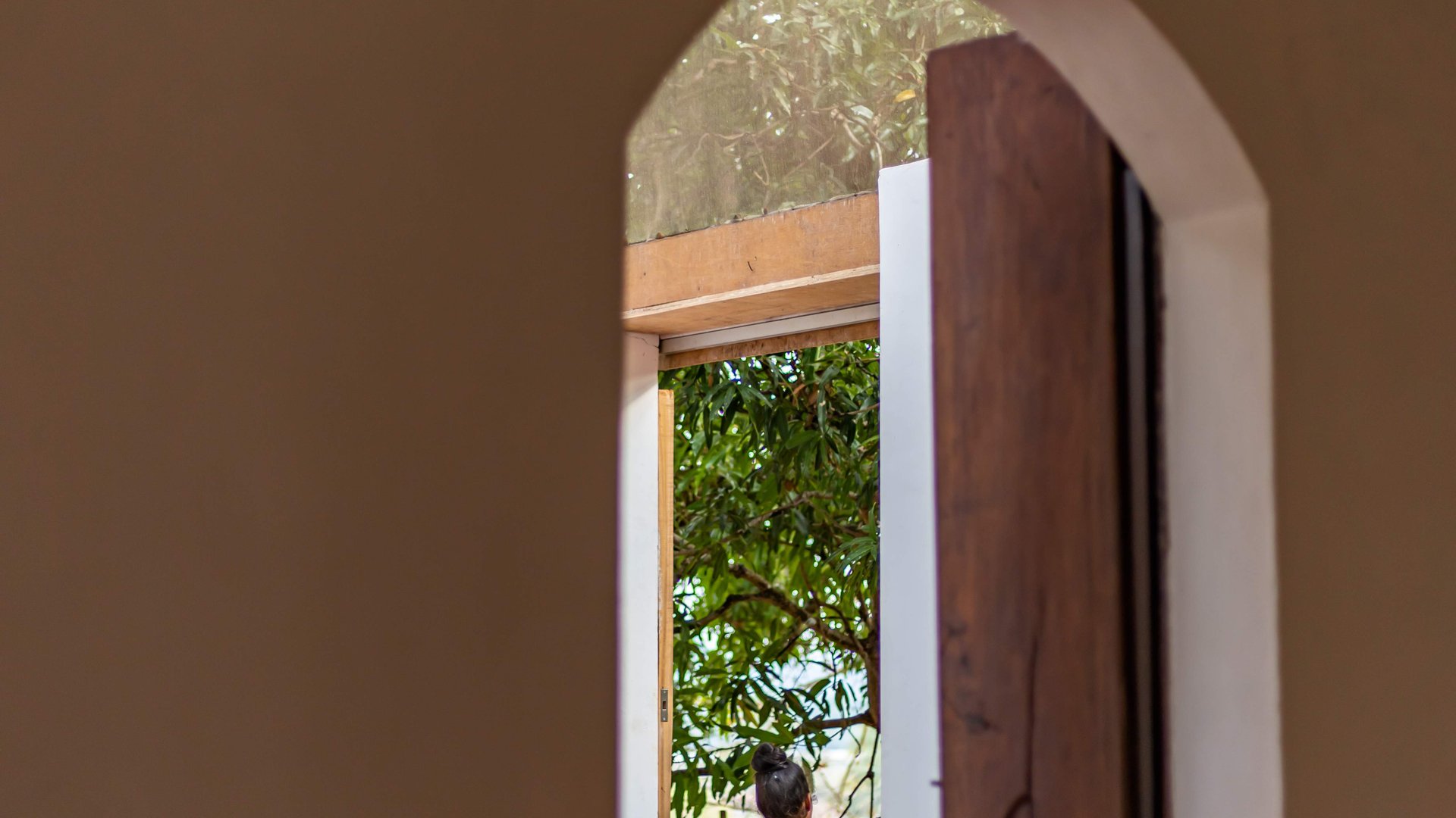 Seclude Falling Cashews