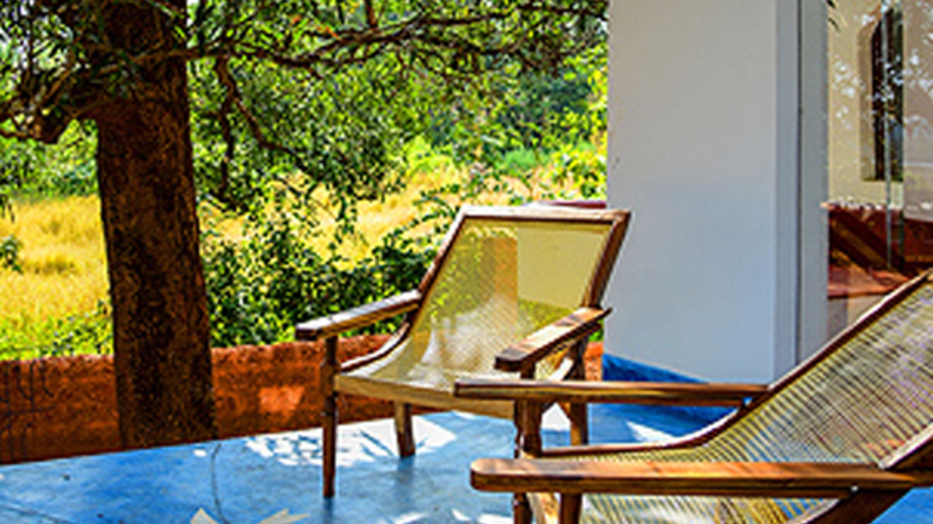 Seclude Falling Cashews