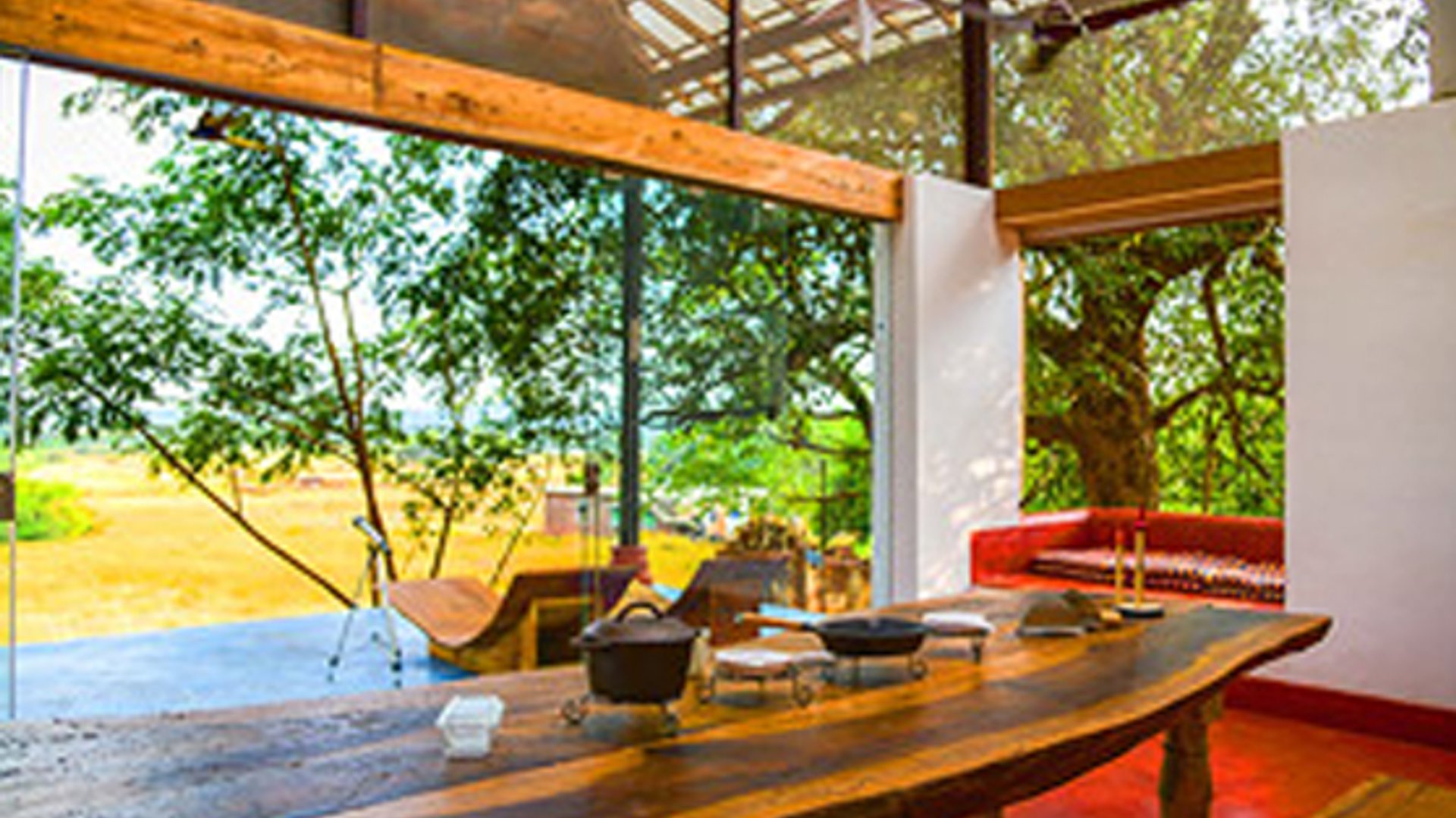 Seclude Falling Cashews